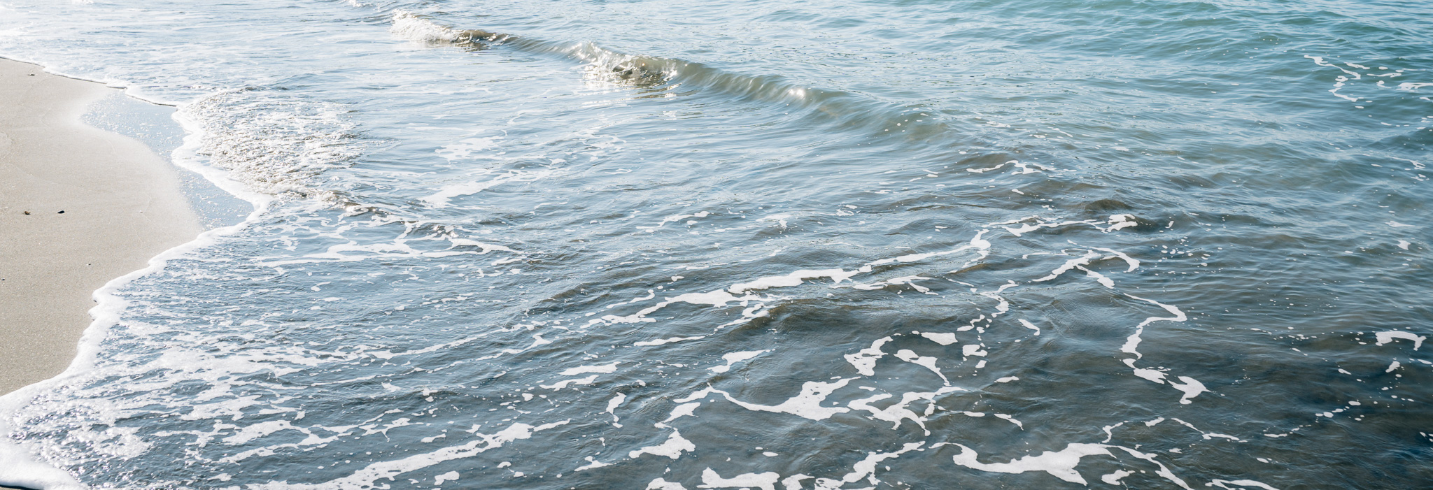 日記、ときどきエッセイ